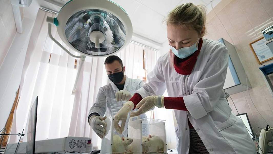 университет