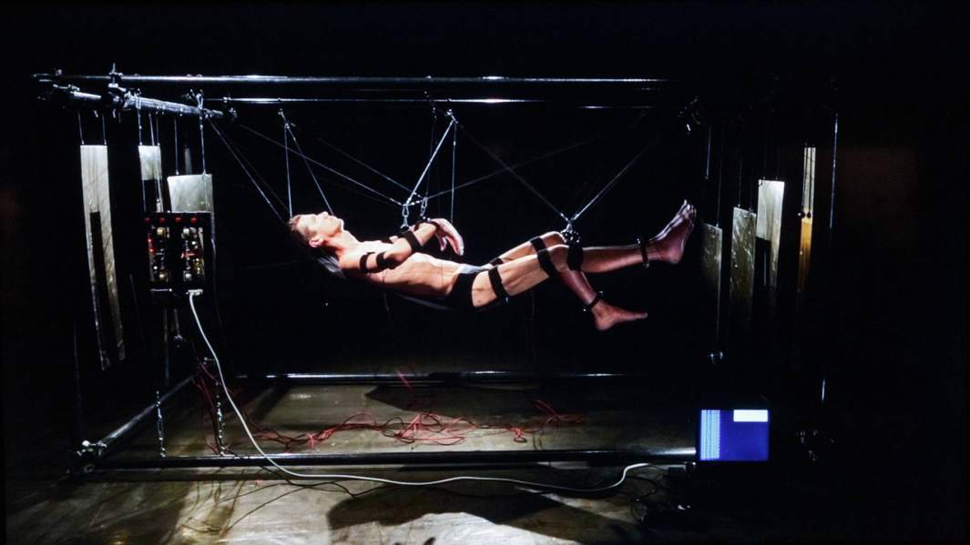 «Симбионт». Николай Голиков, Владимир Ермаченков