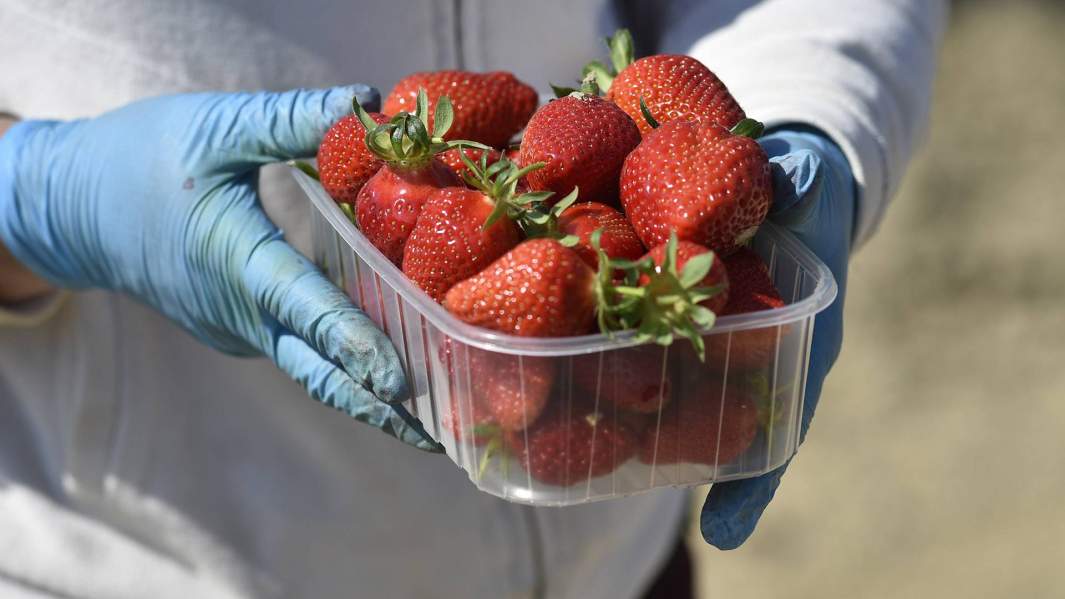 Нигде больше в мире 8 часов лететь за $100 невозможно