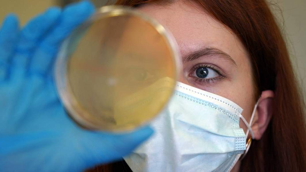 Бактериальная жизнь: людей на ИВЛ начали лечить персонализированно