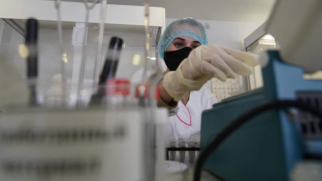 Молочный враг: ученые обнаружили пробиотики, подавляющие коронавирус