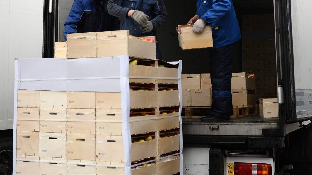 Расходы на дорогу: цены на доставку овощей по РФ хотят снизить