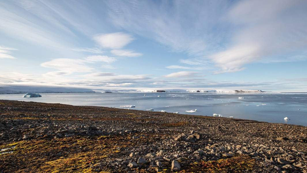 Берег острова Уидуора