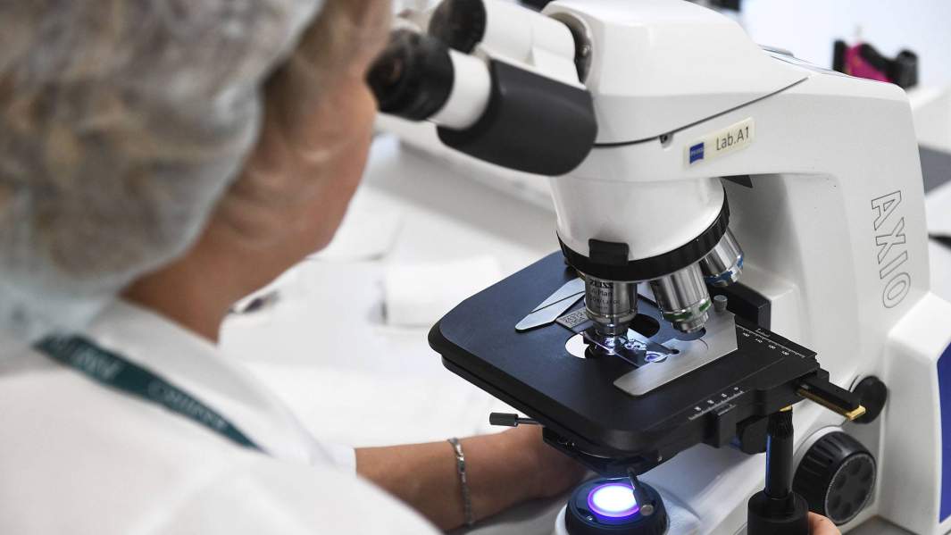 лаборатория вирус