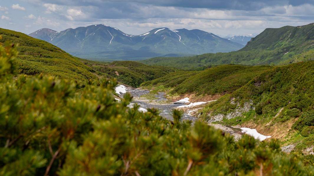 Памятник природы «Горный массив Вачкажец» (расположен в 80 км к западу от Петропавловска-Камчатского) включен в перечень особо охраняемых природных территорий регионального и местного значения Камчатского края