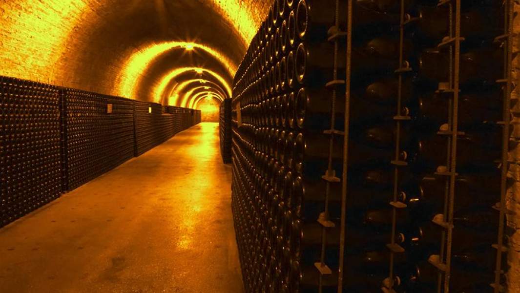 Бутылки шампанского на стеллажах в погребе