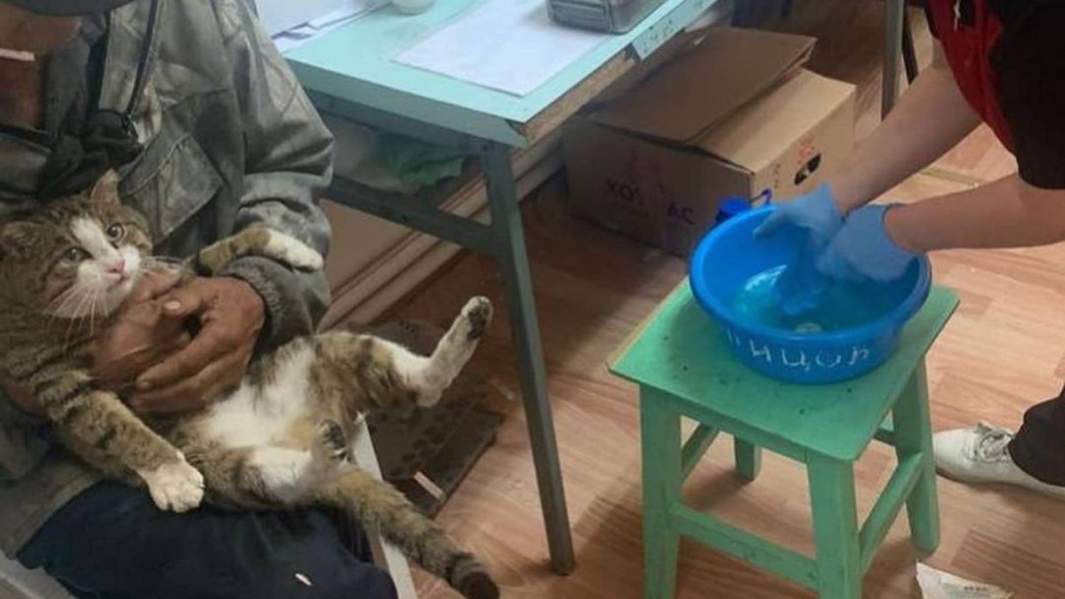 Специалисты департамента ветеринарии Якутии оказывают помощь пострадавшим в пожаре животным