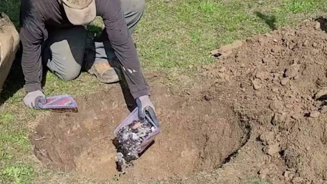 Пепел сожженых книг помещают в яму, чтобы потом посадить на этом месте дерево