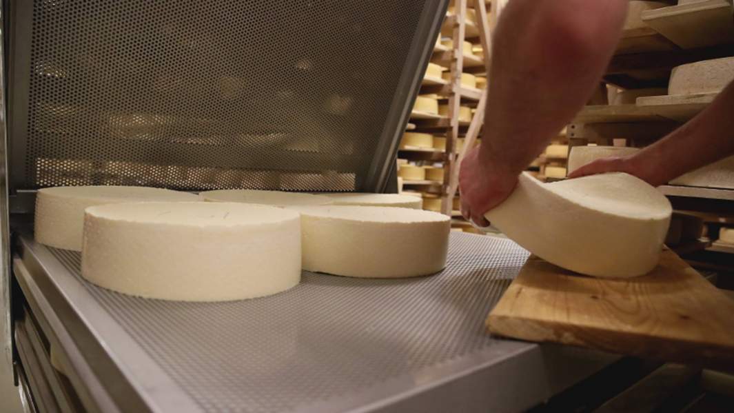 производство сыра