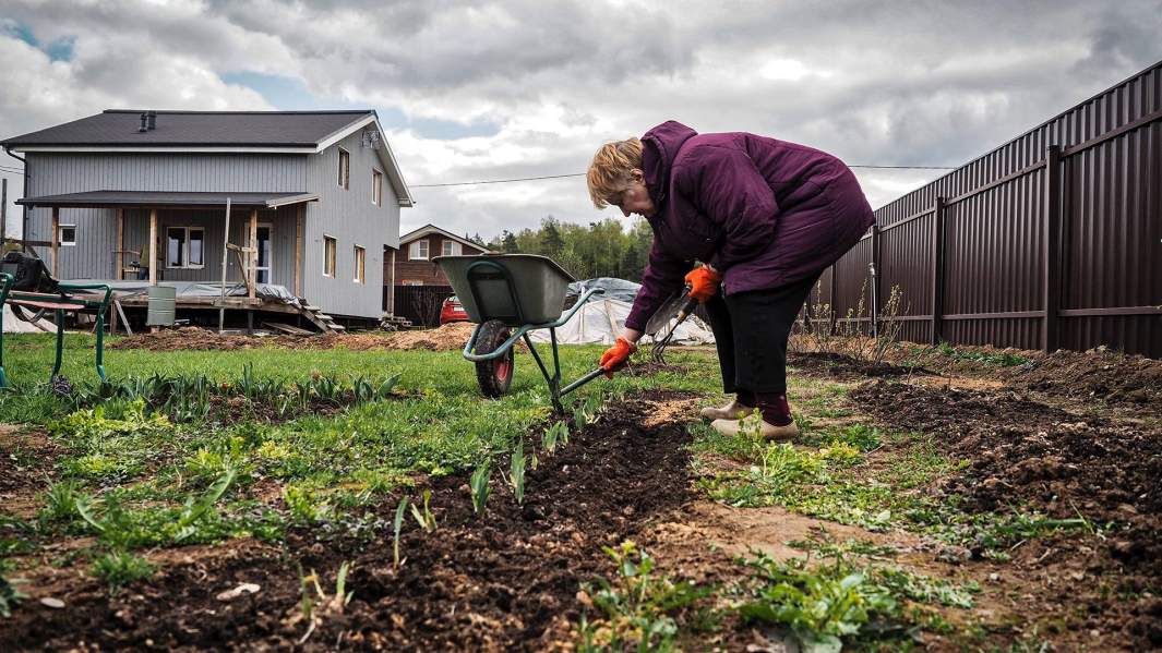 Женщина на дачном участке