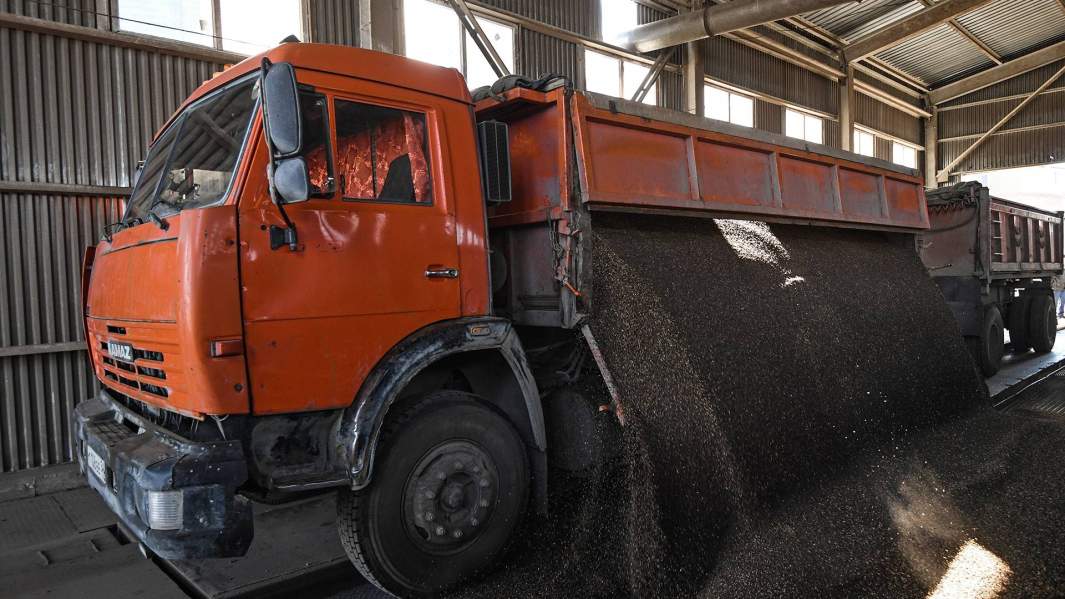 Выгрузка гречки