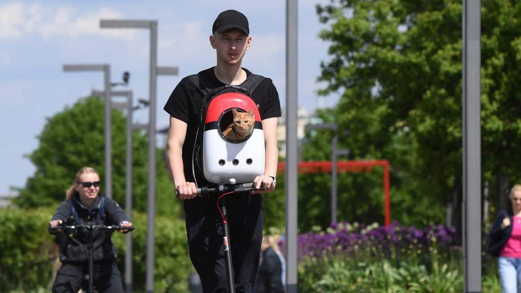 парень с котом на электросамокате