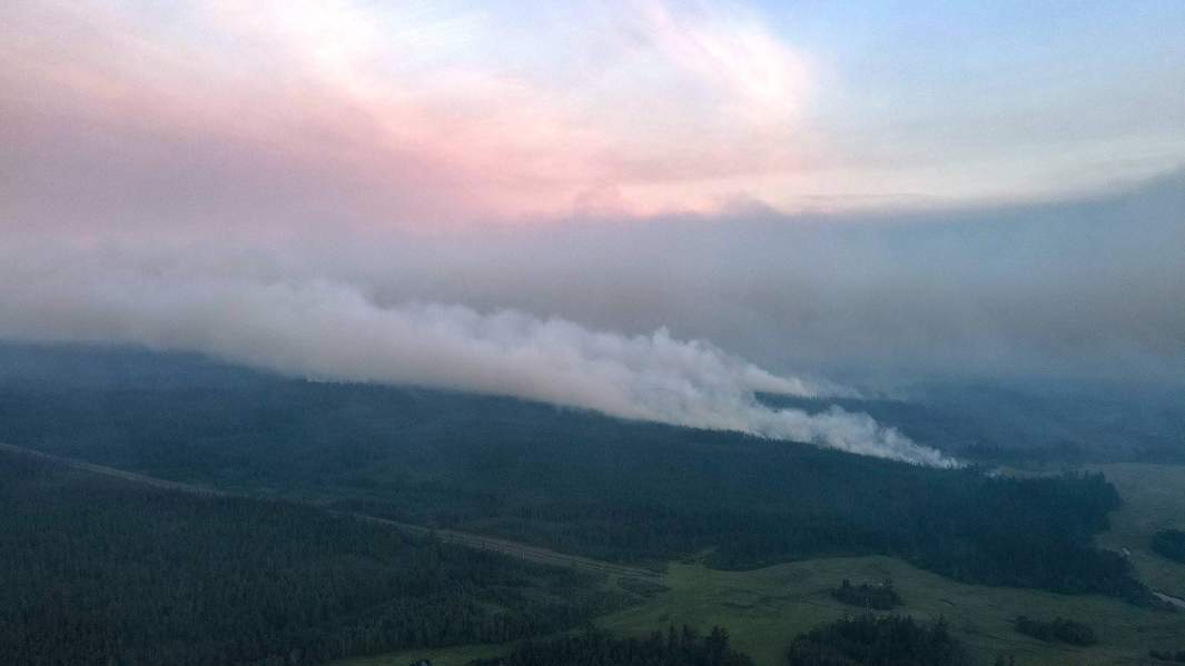 Работа по живому: спасать диких животных в Якутию поедут волонтеры