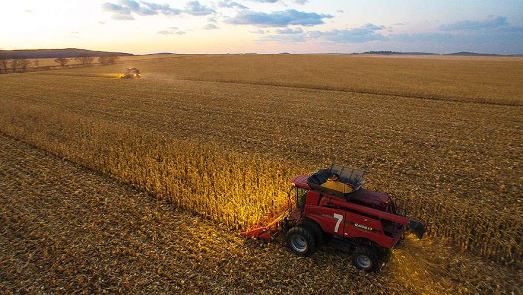 Уборка урожая кукурузы в Приморском крае