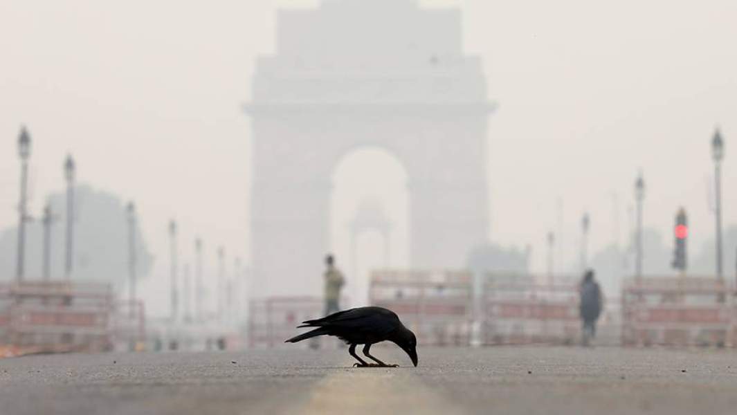 Смог в Дели