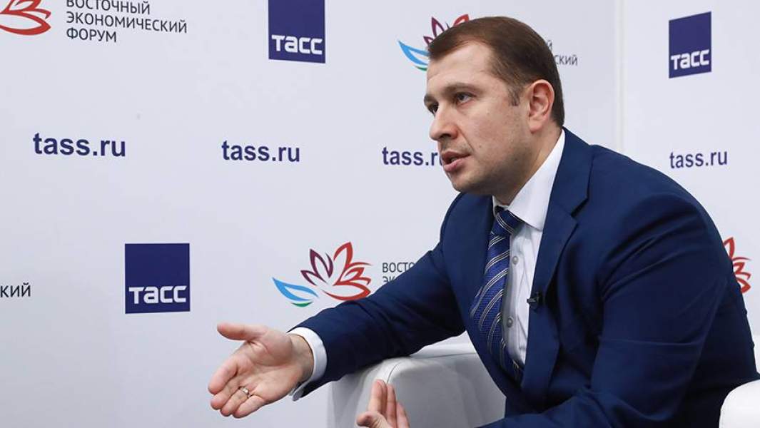 Заместитель министра экономического развития РФ Илья Торосов