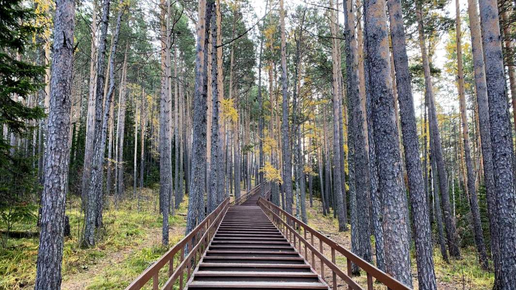 Ельня экологическая тропа фото