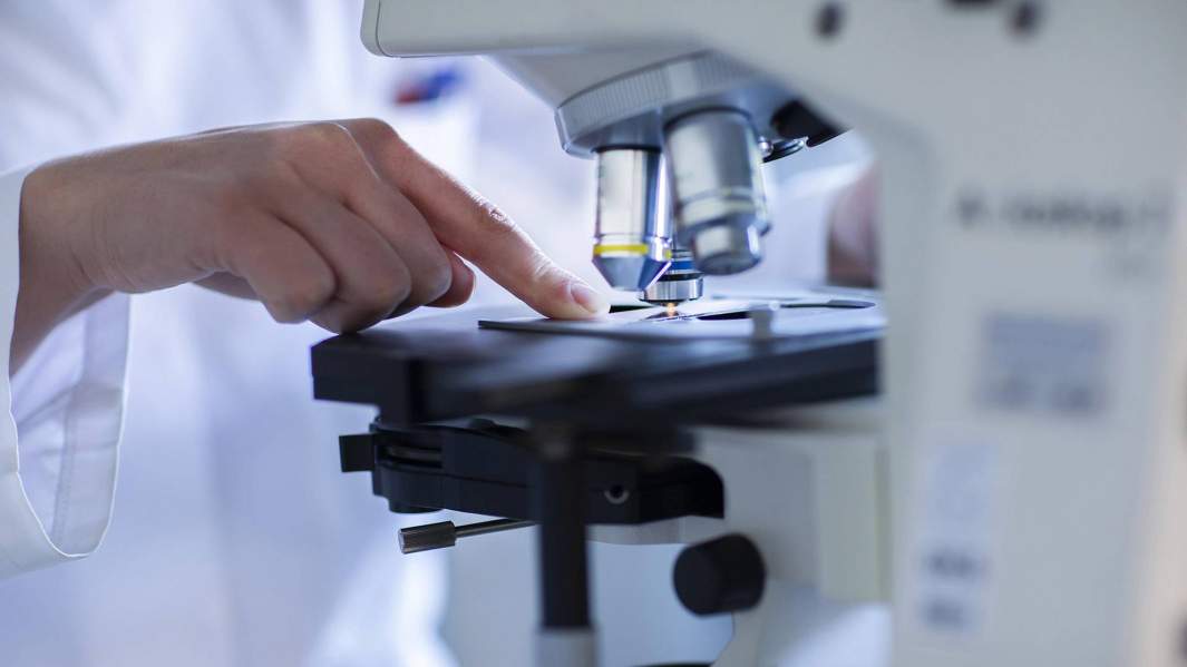 лаборатория 