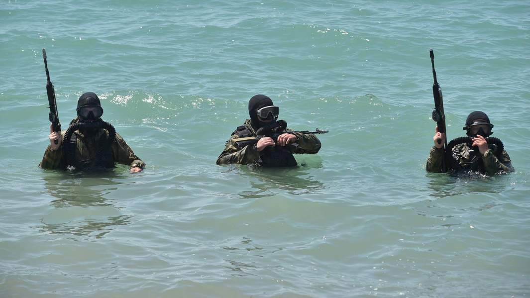 Боевые пловцы