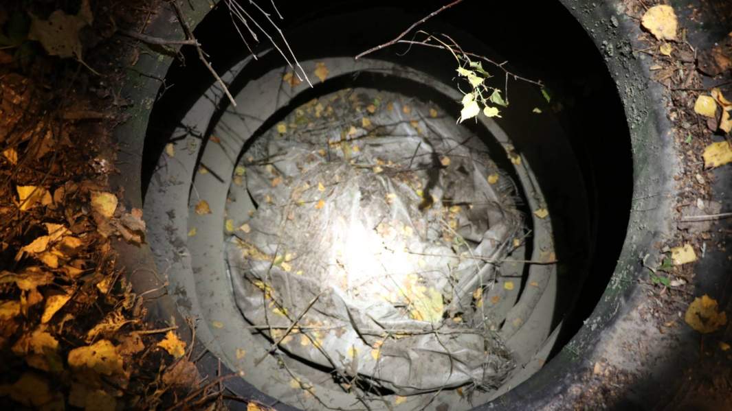 Место в лесополосе возле деревни Земенки, где было обнаружено тело убитого подростка