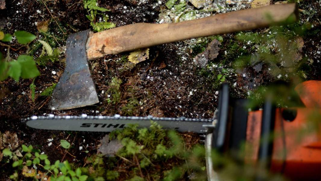 Топор и бензопила