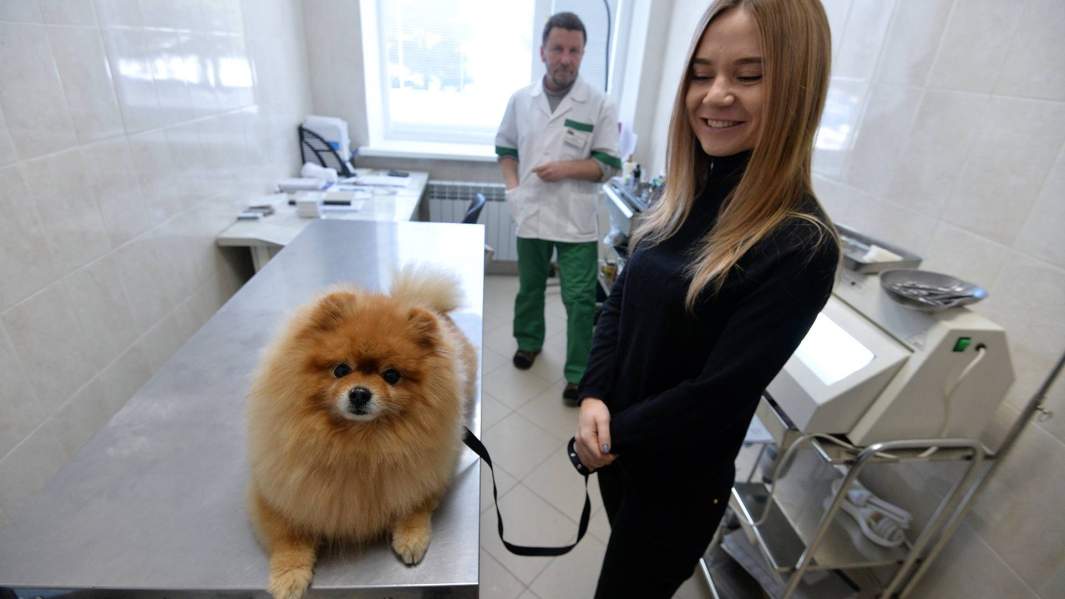 Девушка со своей собакой