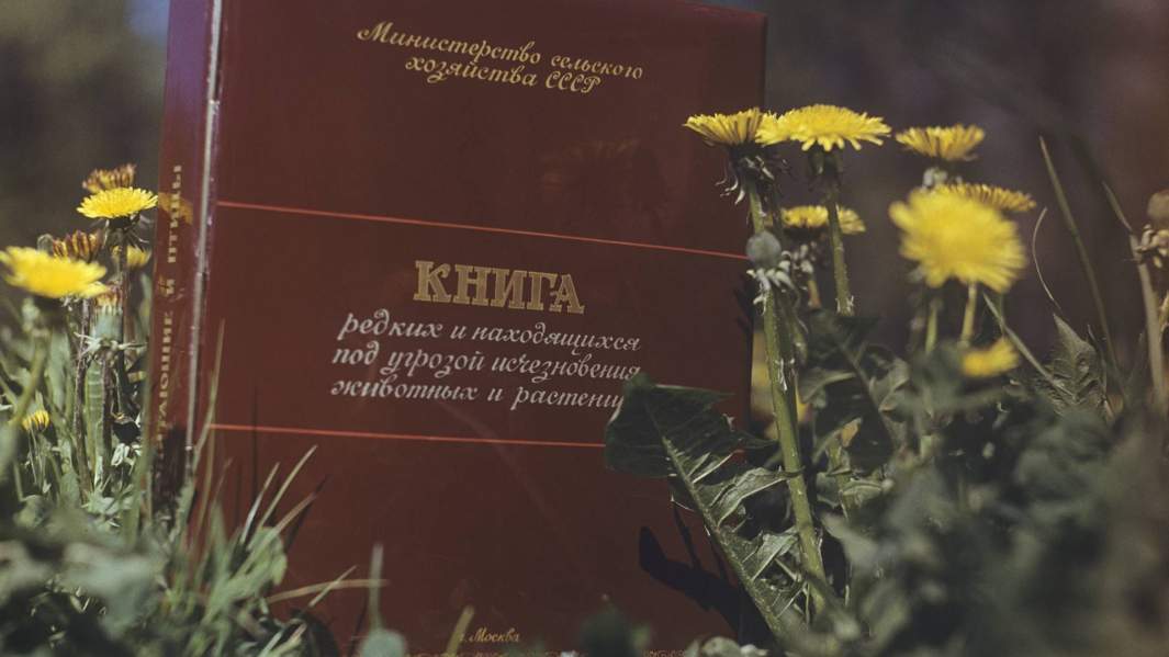 Красная книга 