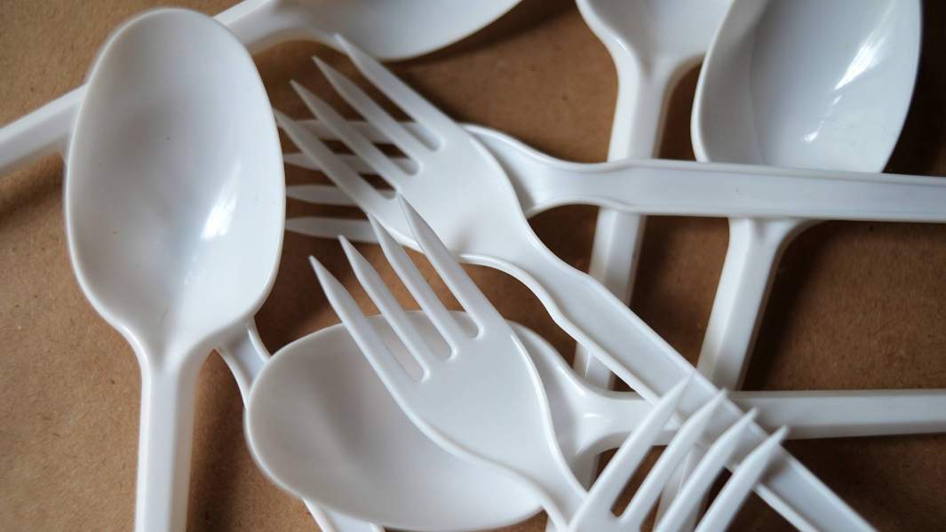 одноразовая посуда