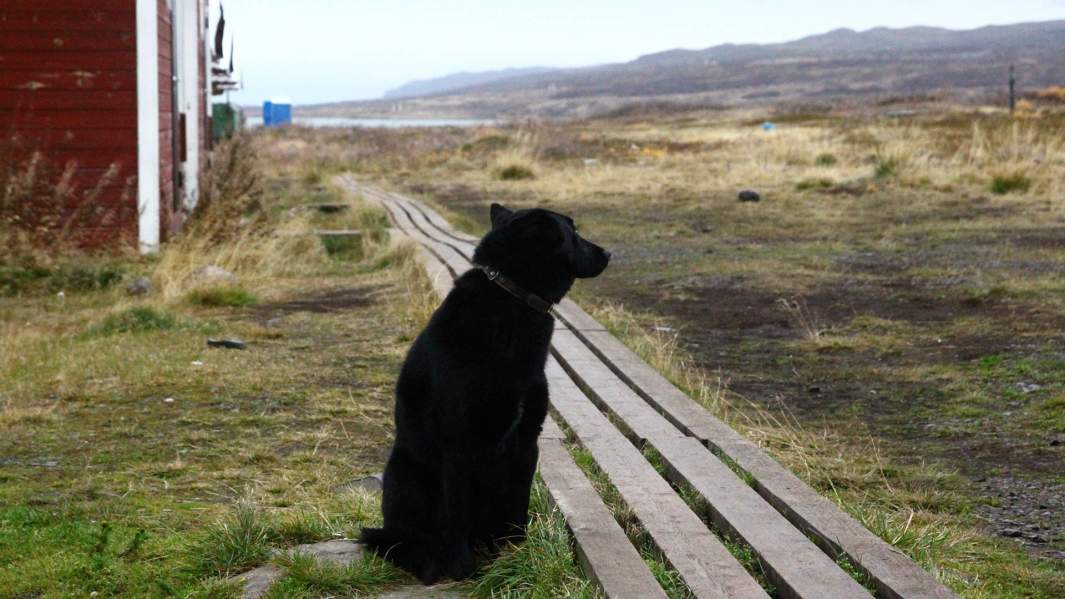 поселок Рыбачий