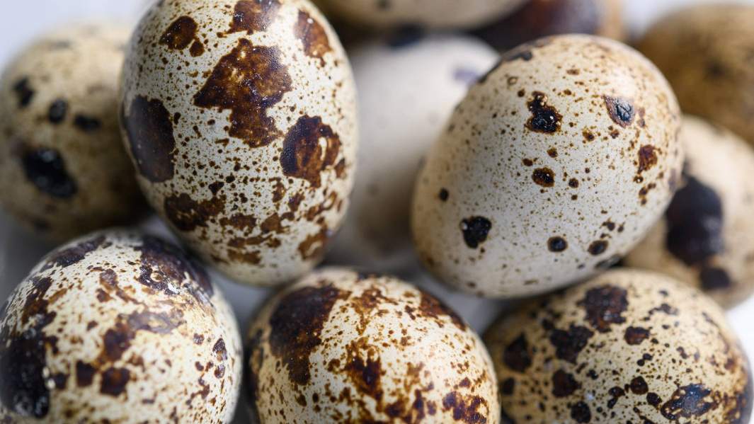 перепелиные яйца