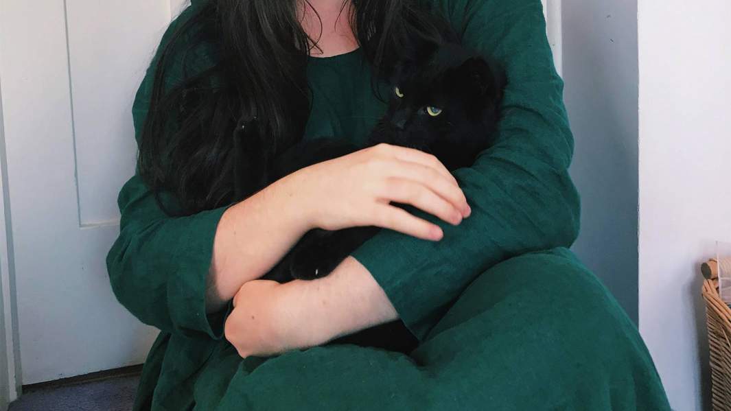 кошка