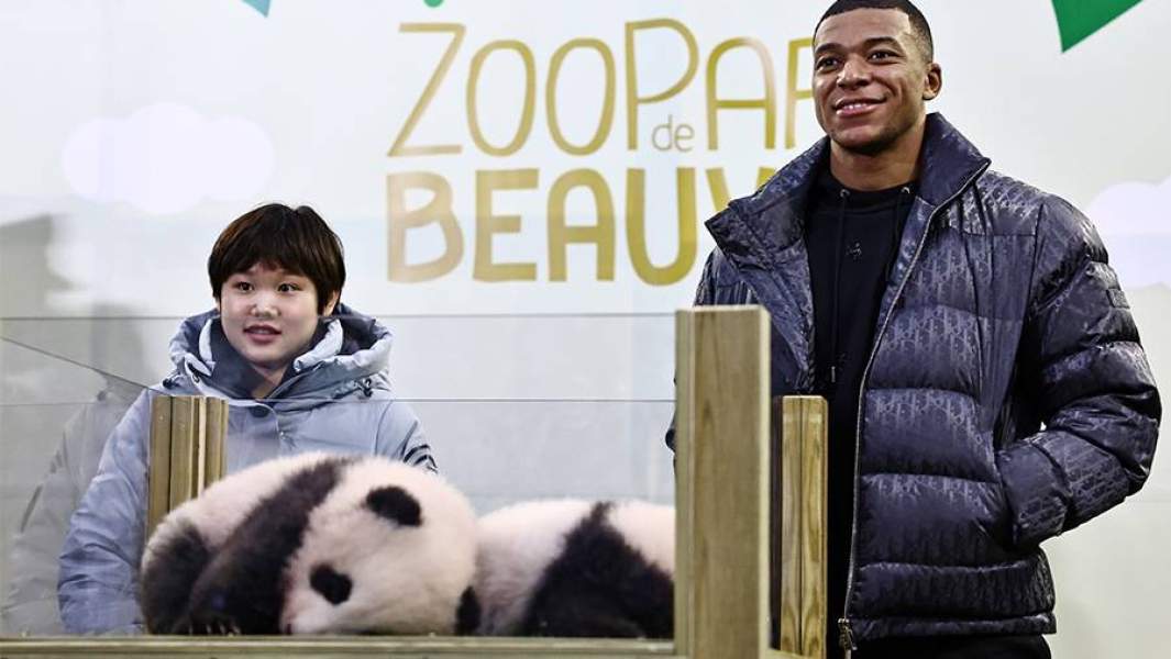 Килиан Мбаппе и Чжан Цзяци