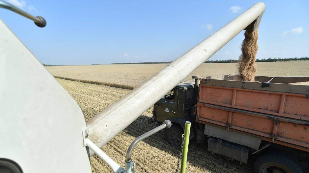 В точке спада: почему показатели агросектора в России ухудшились