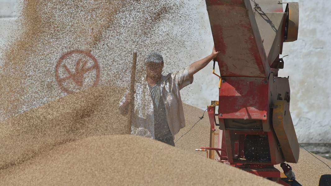 Перед барьером: что мешает развиваться российскому агросектору