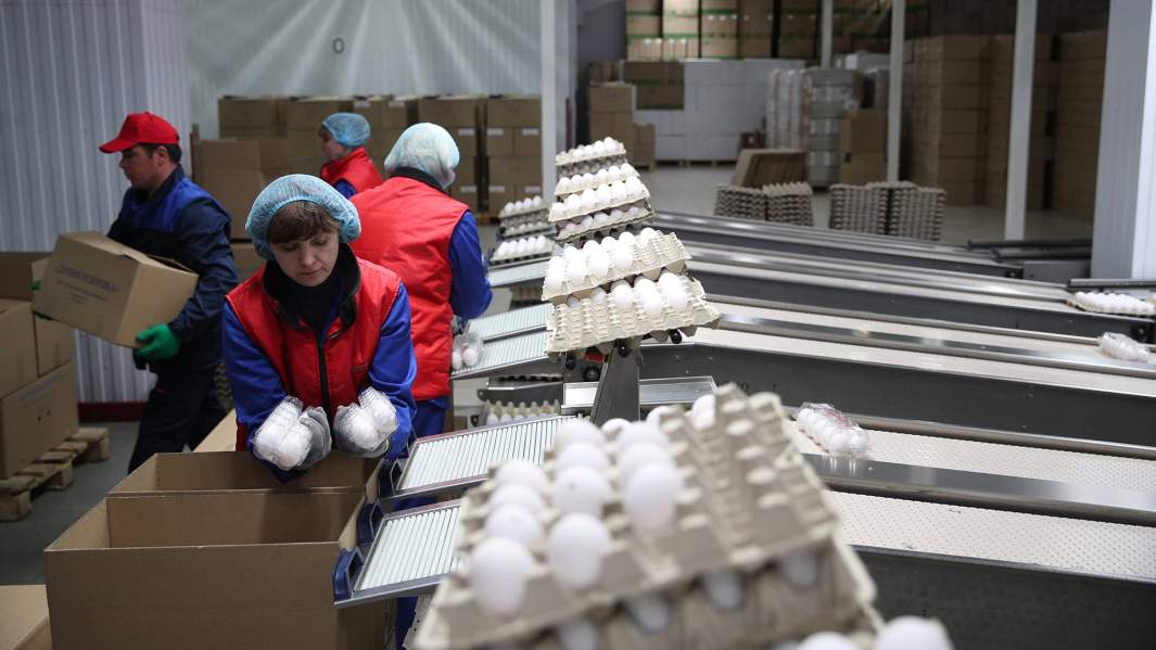 В точке спада: почему показатели агросектора в России ухудшились