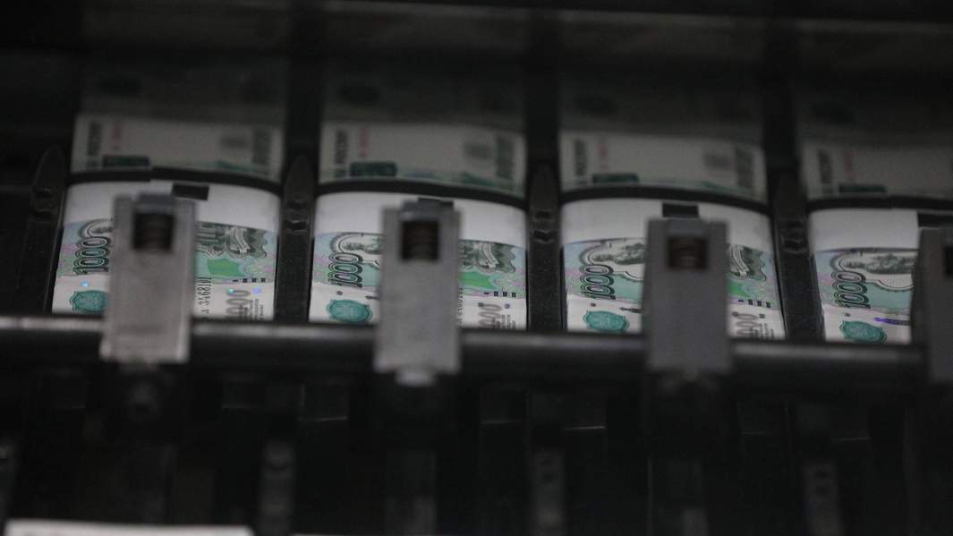 Не коден: в Минцифры назвали сроки «зачистки» реестра отечественного ПО