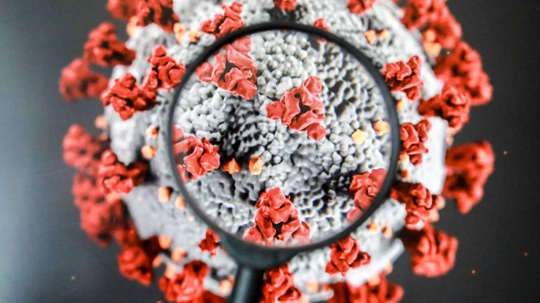 коронавирус лупа