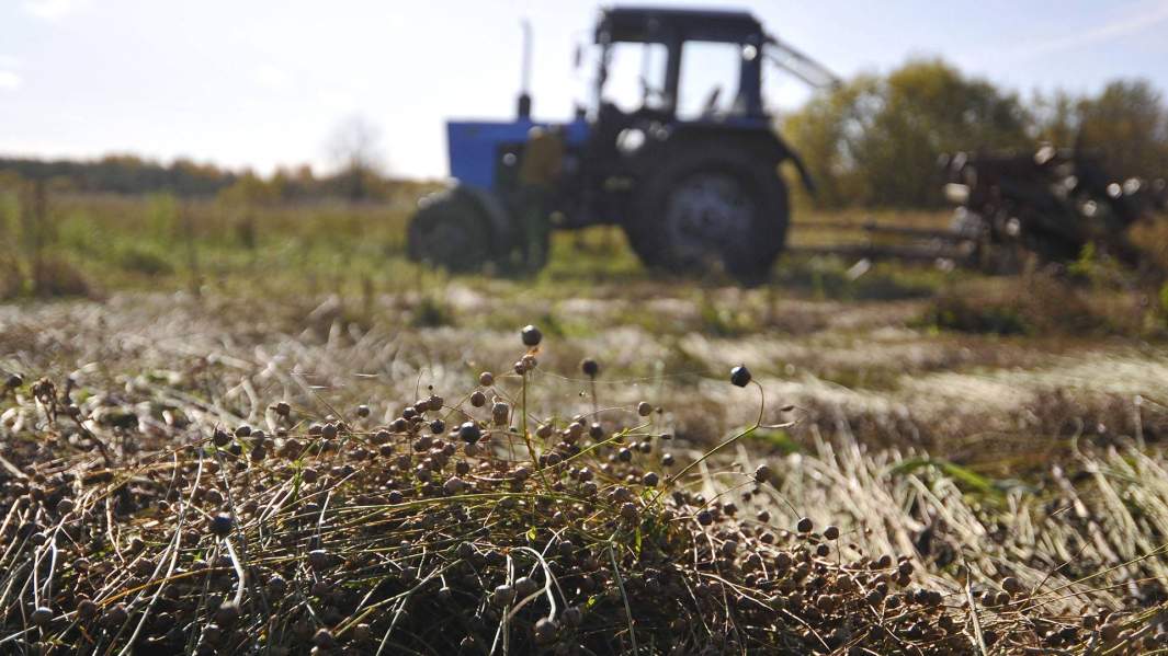 Перед барьером: что мешает развиваться российскому агросектору