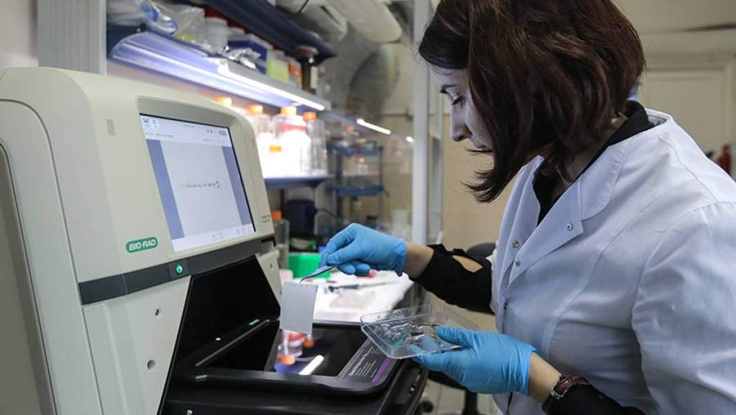 лаборатория