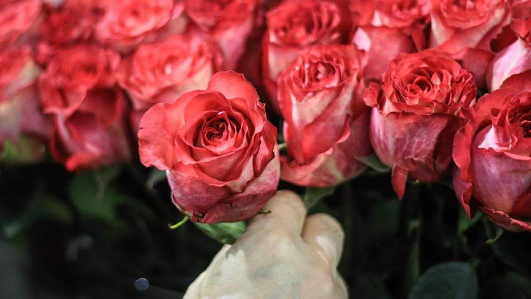 цветы розы букет