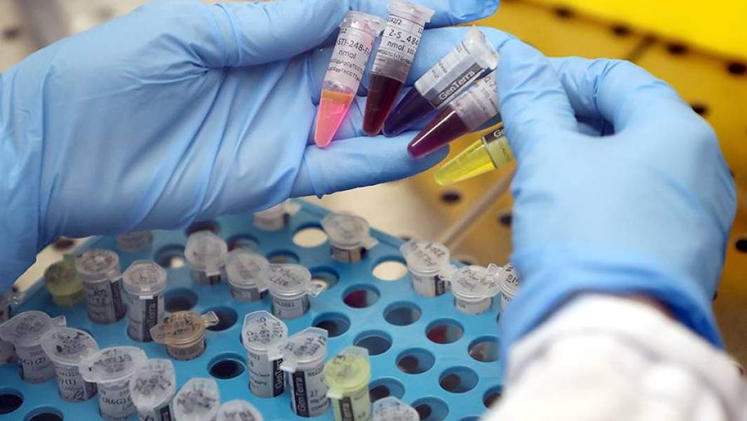 ДНК тест-система