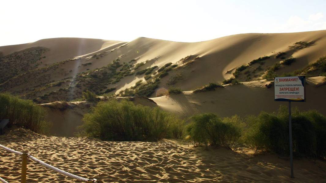 Бархан Сарыкум 