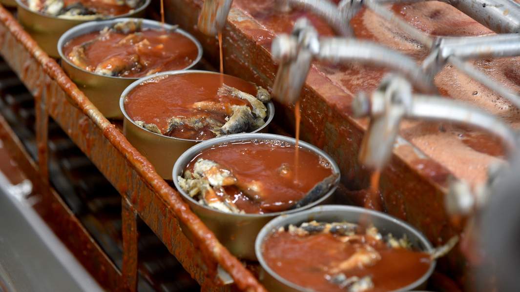 завод переработка рыбы