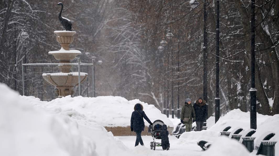 семья дети  зима