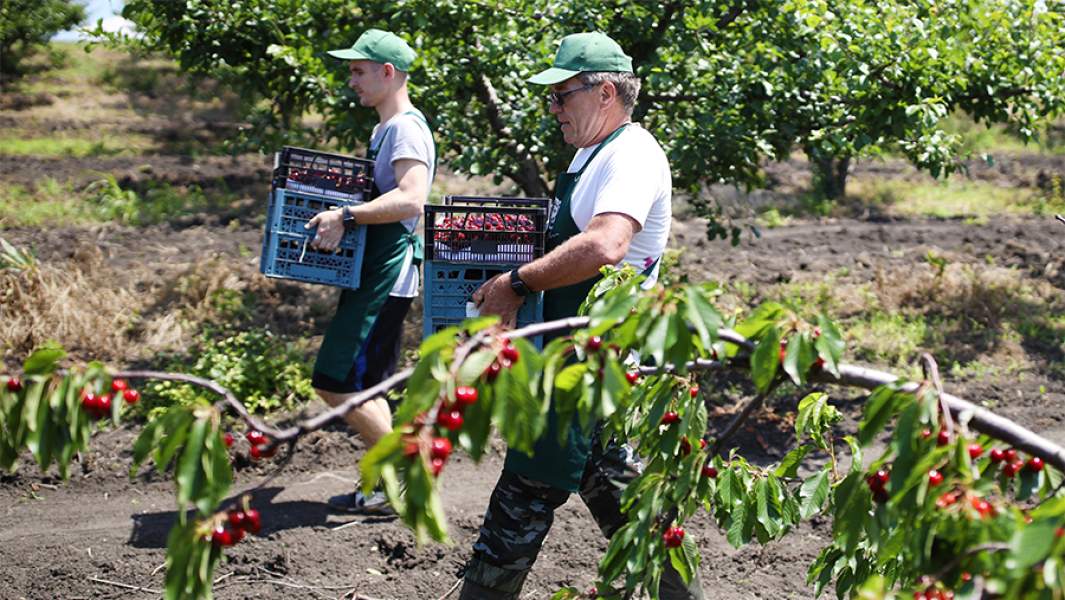 фермерство