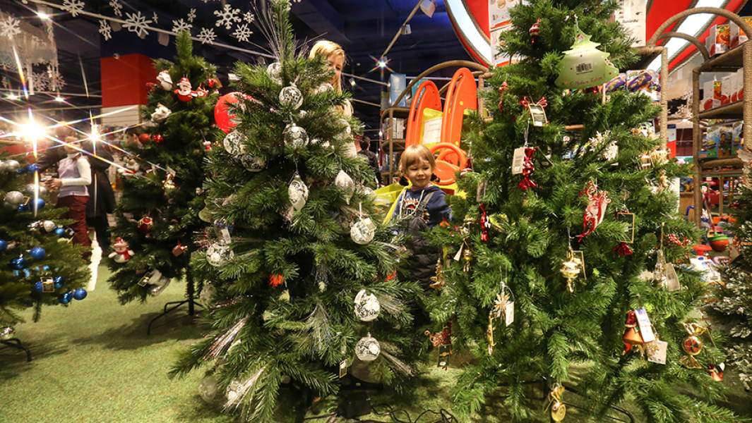 Продажа новогодних елок