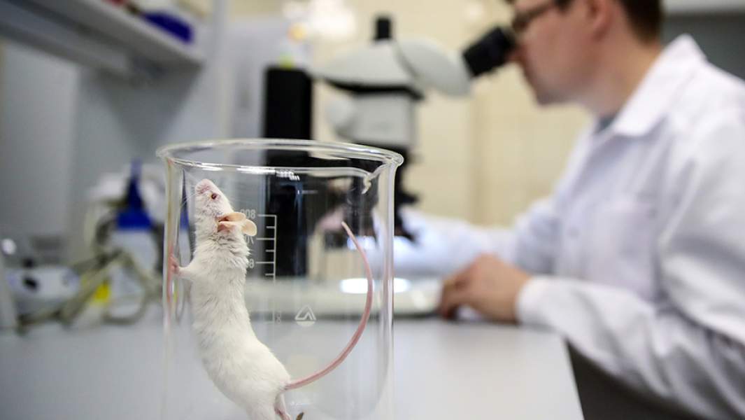 лаборатория