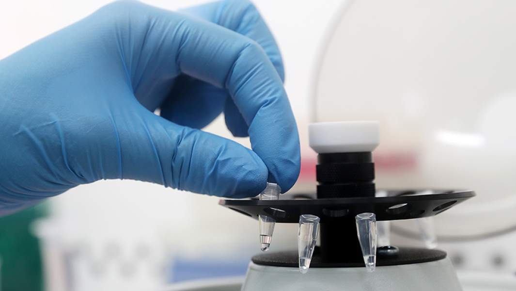 тест-система для молекулярной генетики