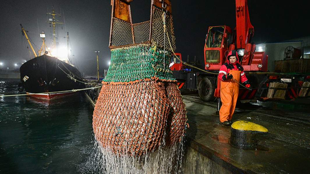 Приморский край. Отгрузка пойманной рыбы из трюма рыболовного сейнера (РС-450) "Ураганный" рыбодобывающей компании "Доброфлот" у пирса берегового завода в поселке Южно-Морское