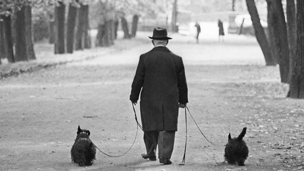 Михаил Румянцев